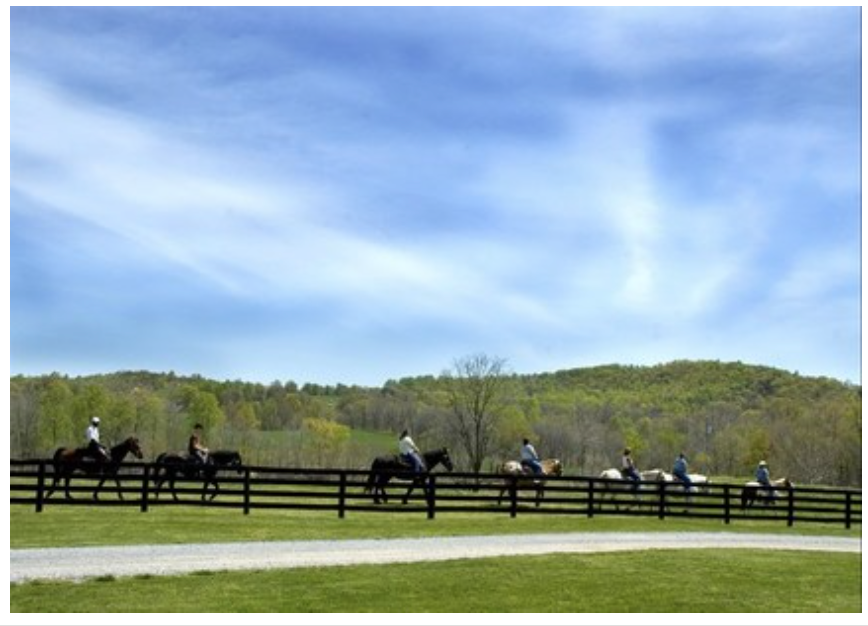 The Wedding Website of Yelena Viner and Dominic Elliott