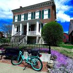 Pedego Electric Bikes Hermann