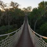 Santa Ana National Wildlife Refuge