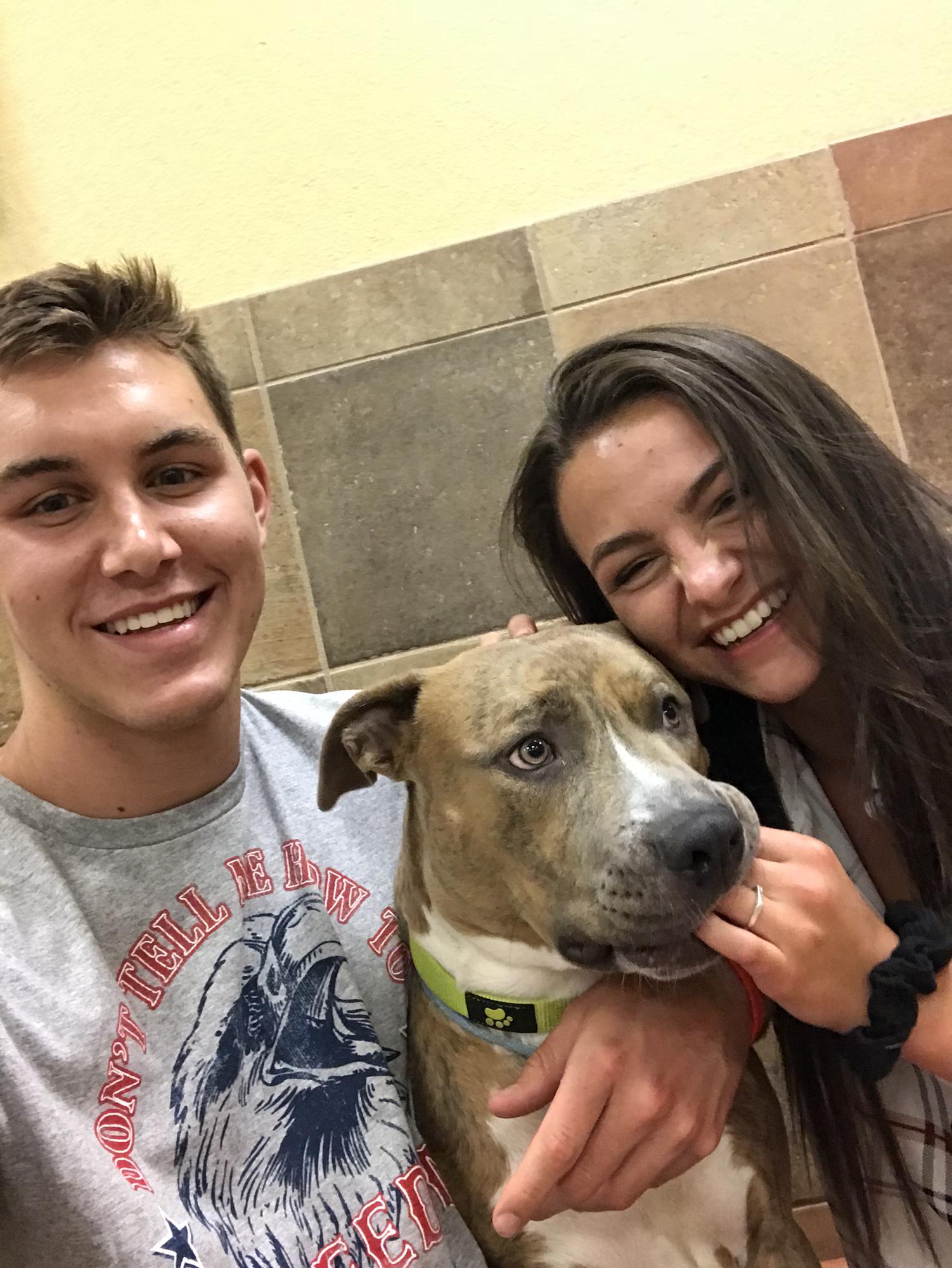 Tug! A sweet dog that Hannah and Blake met at petsmart and had a really hard time not adopting❤️