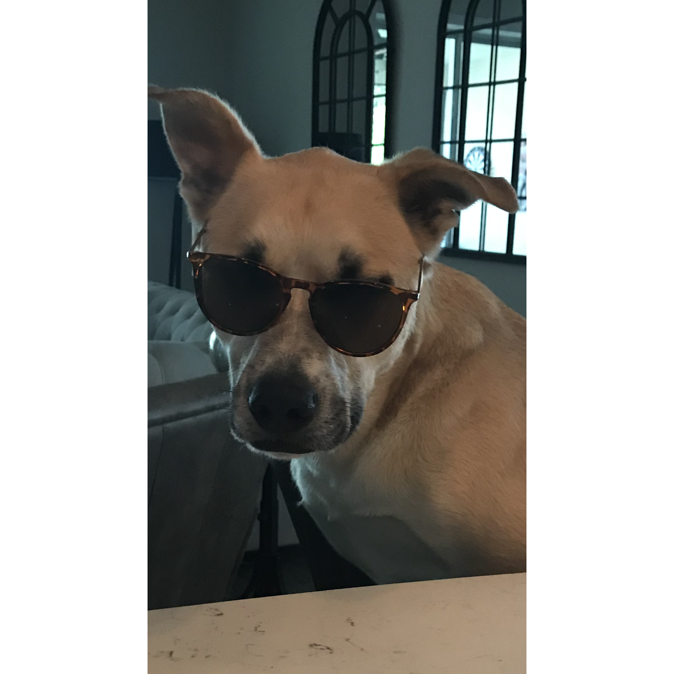 Hank comes to JAX!!