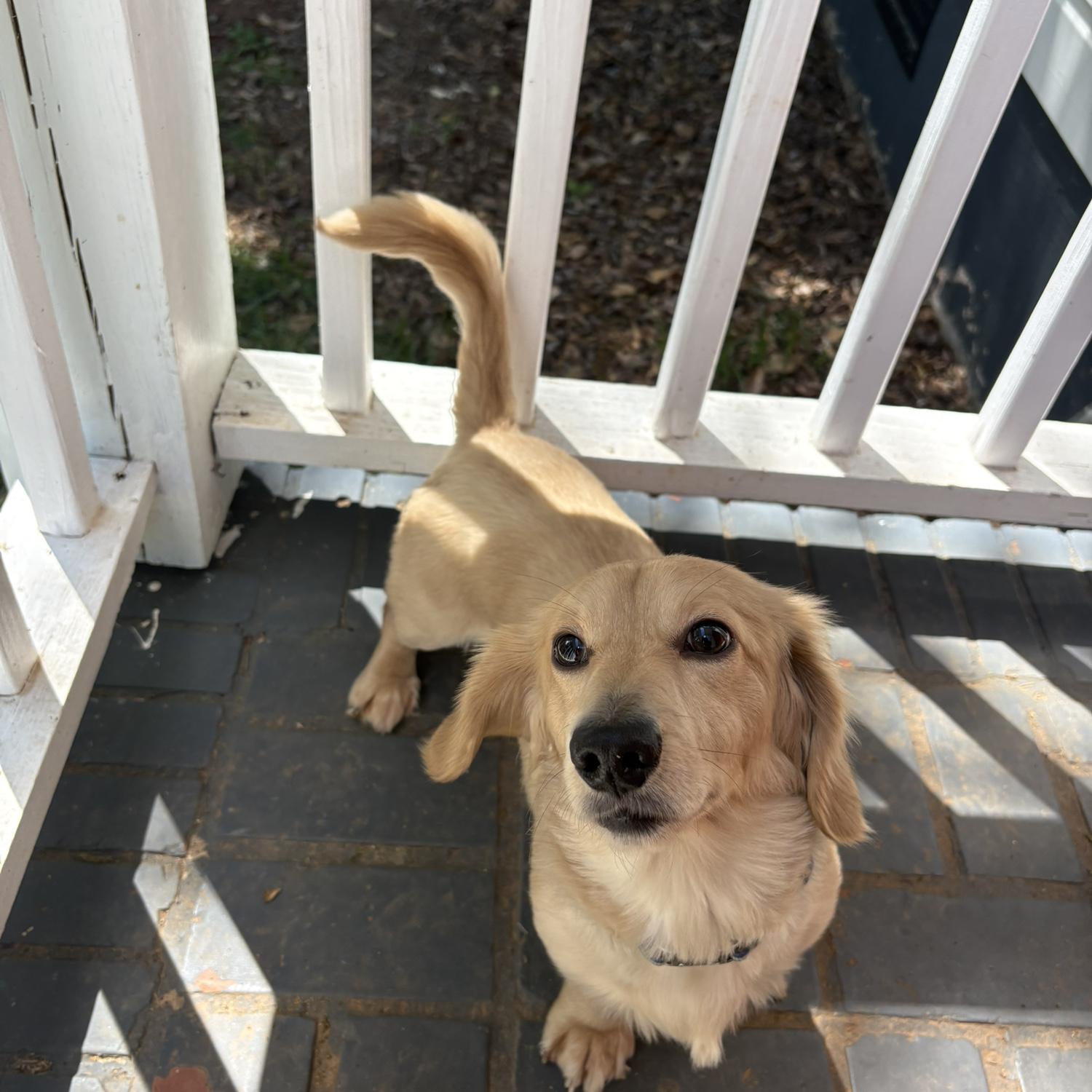 Moose, aka Moosey-Goosey - our middle child (2-years-old)