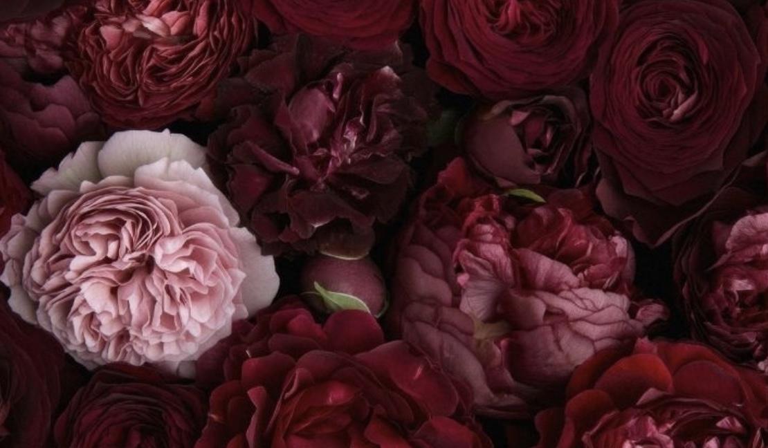 8784b2ea-6a08-42ed-bdf7-b9cc235b1b1b