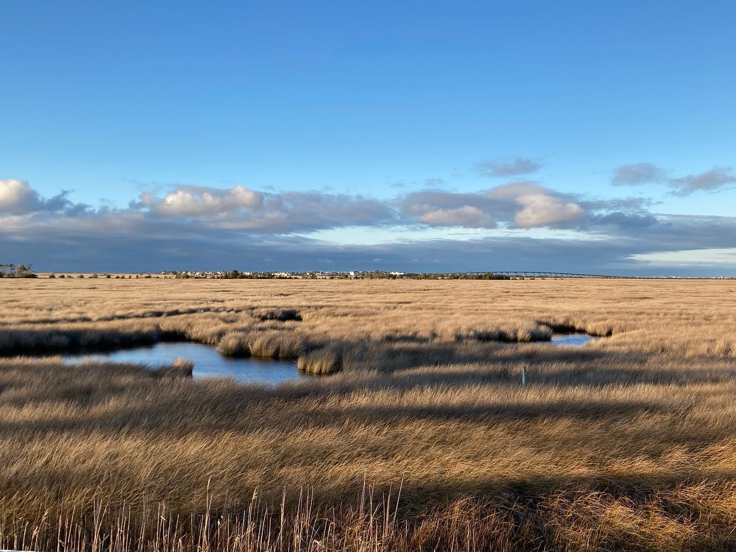 The Wedding Website of Emma Minnick and Kevin Jarrell