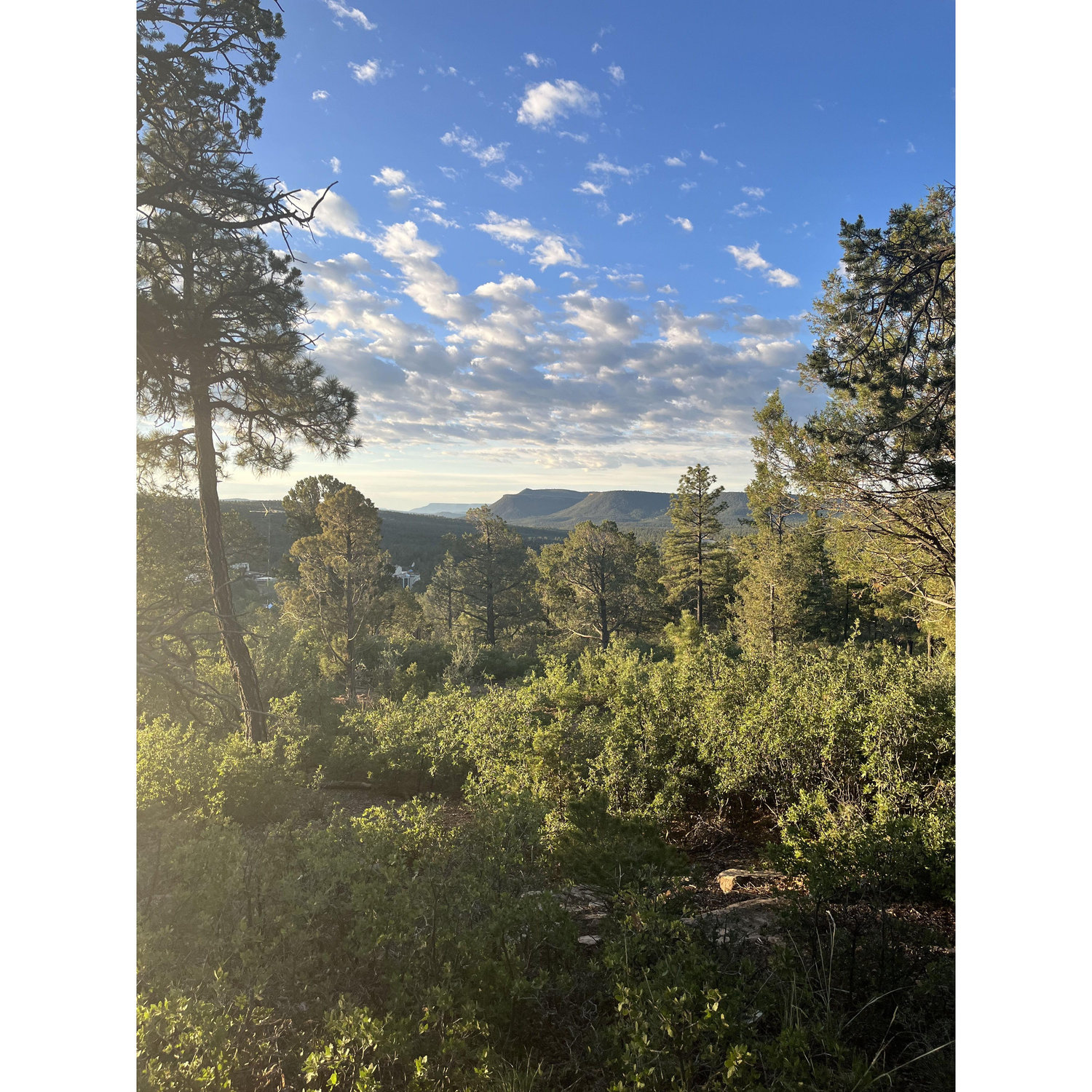 Glorietta, NM 2022
