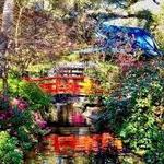 Descanso Gardens