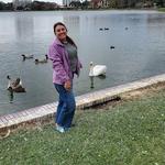 Feed the Swans at Lake Morton