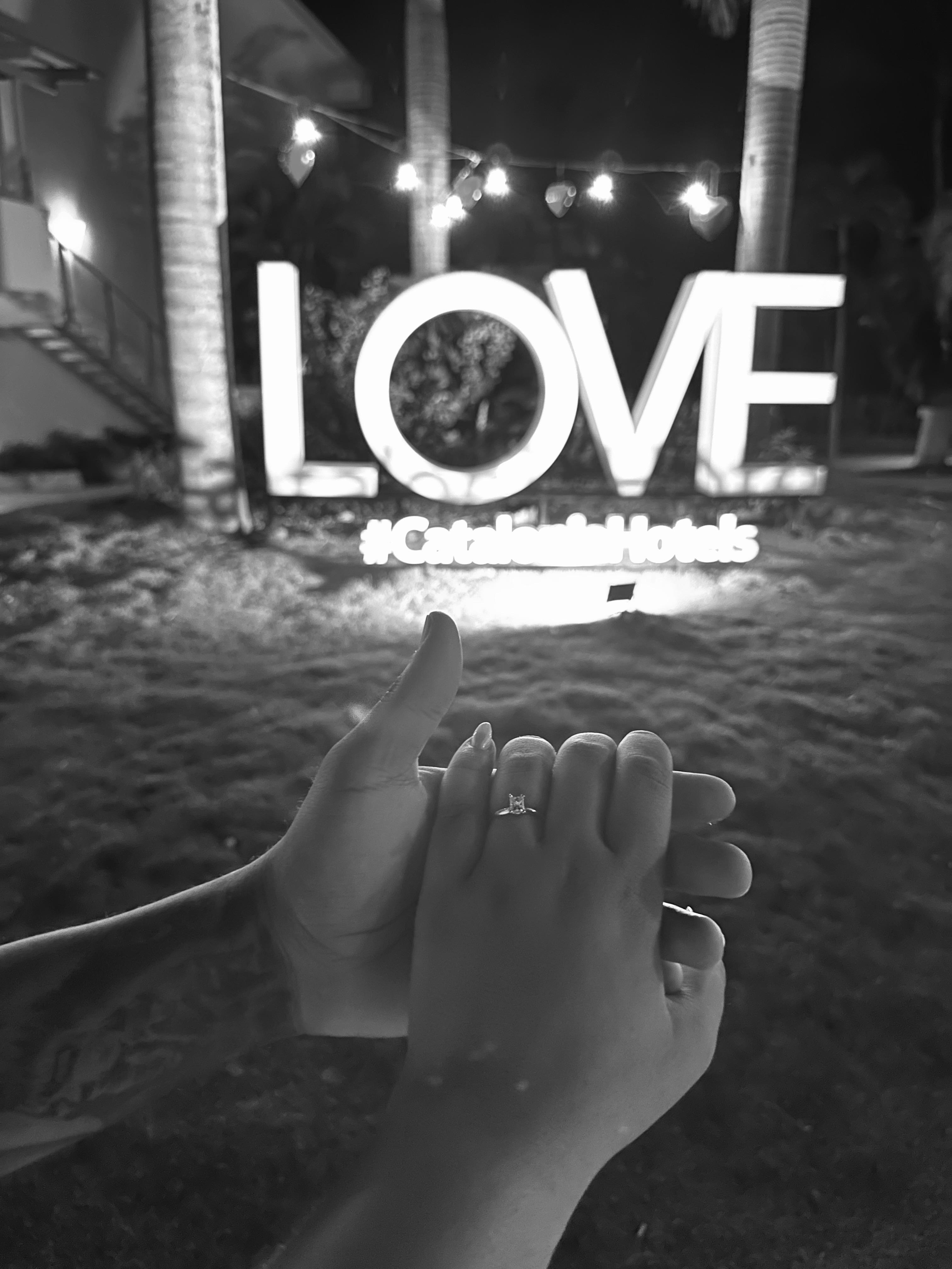 87895446-c172-44c9-8295-dd71152a8e81