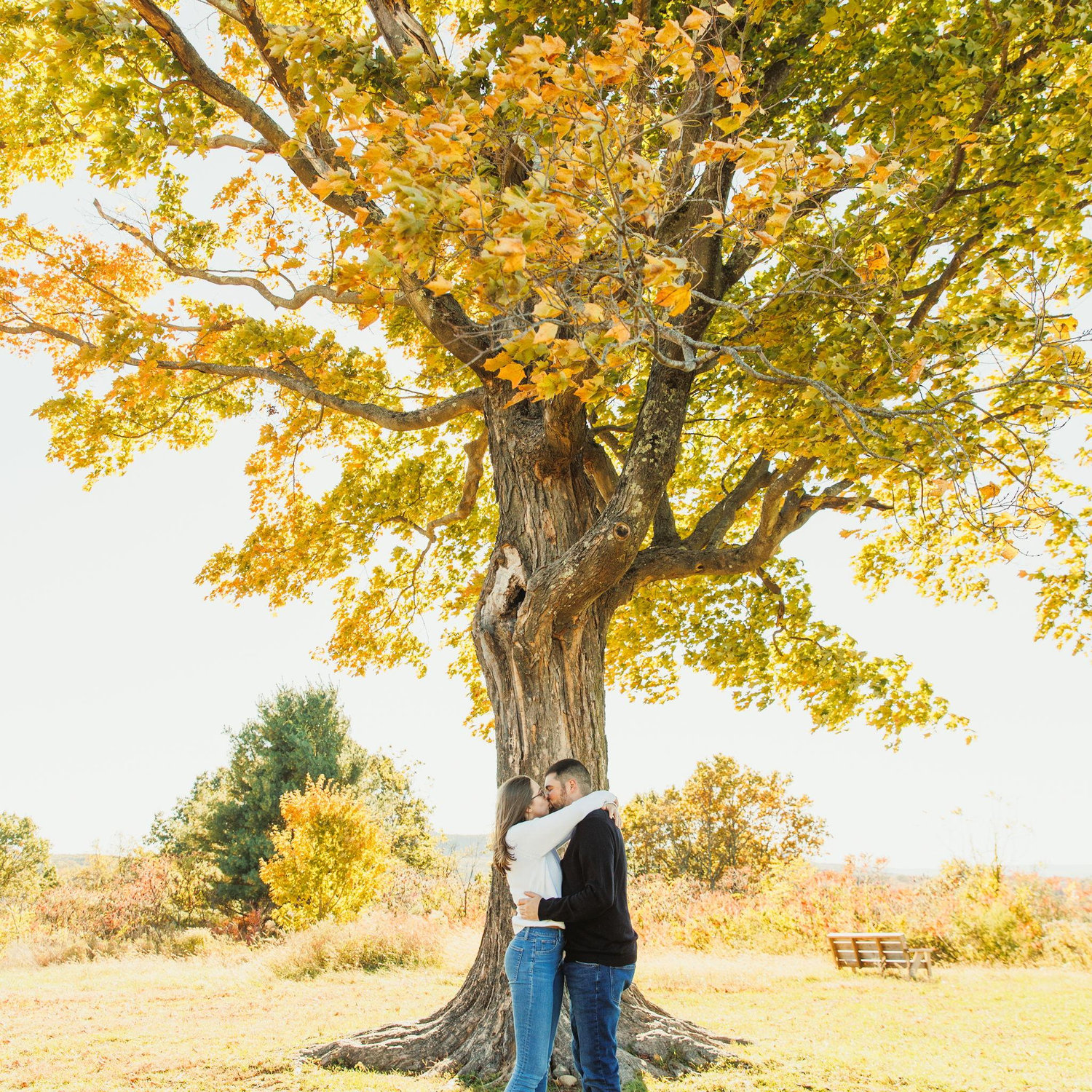 Engagement Photos | Mt. Pollux