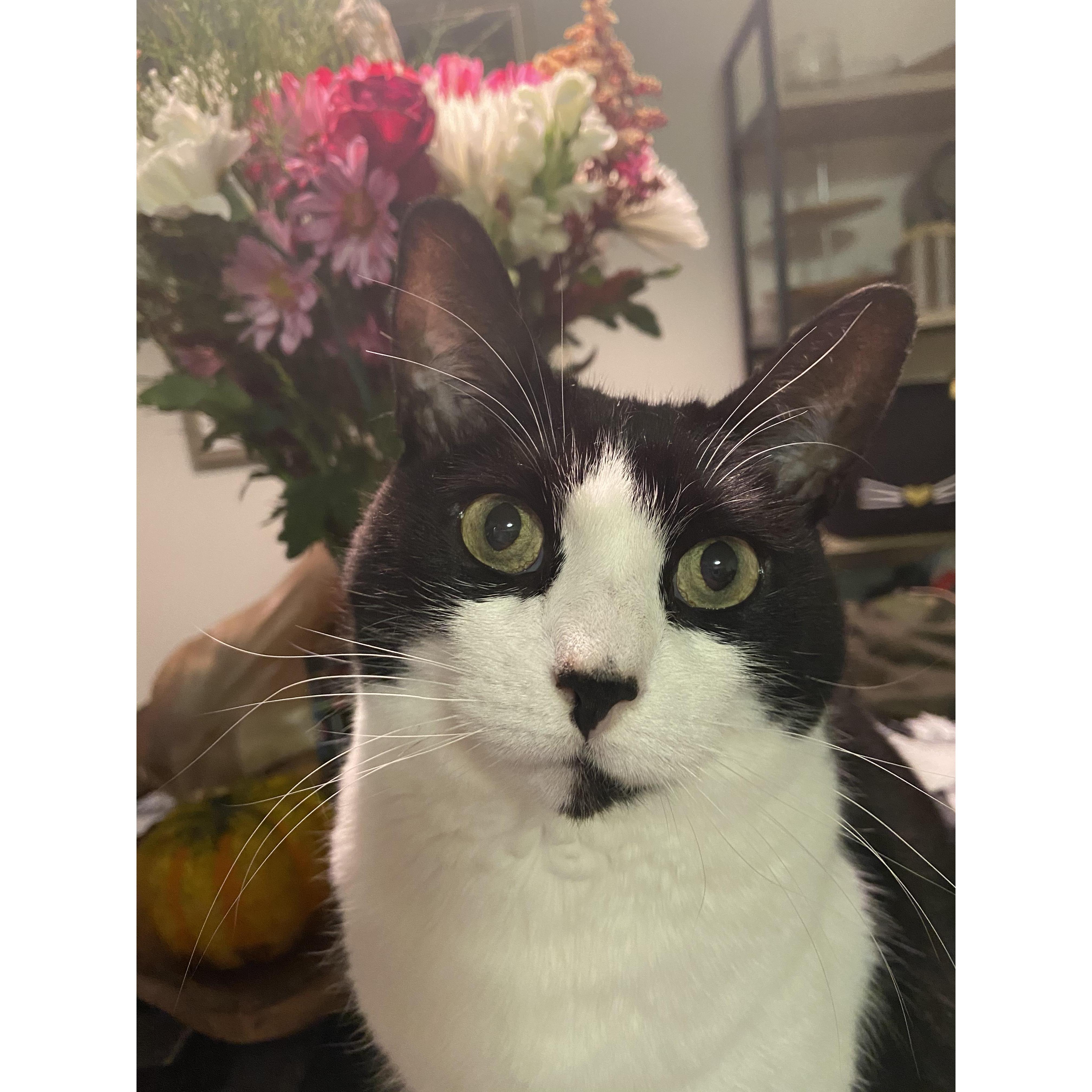 Zoey