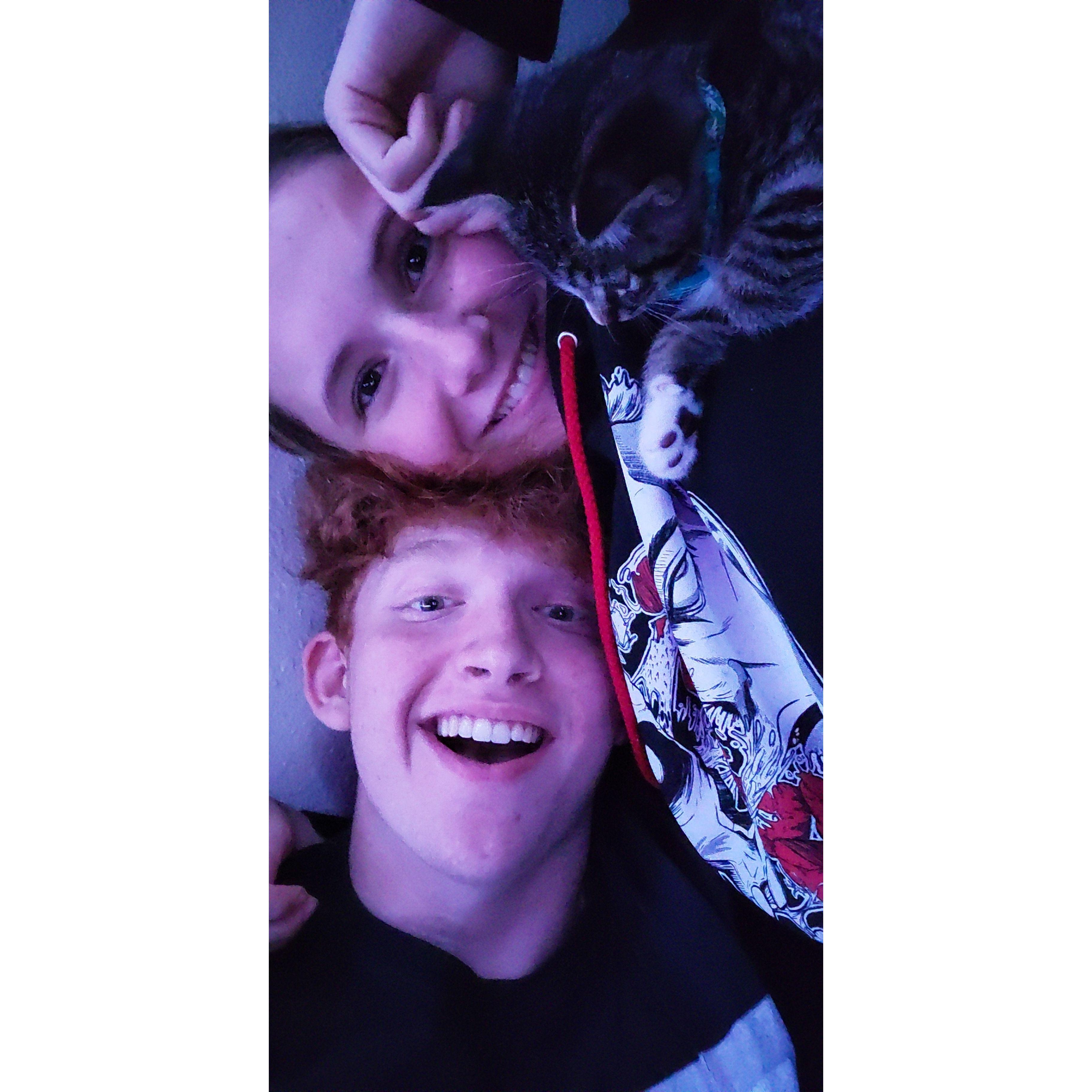 We got our first furry friend :D