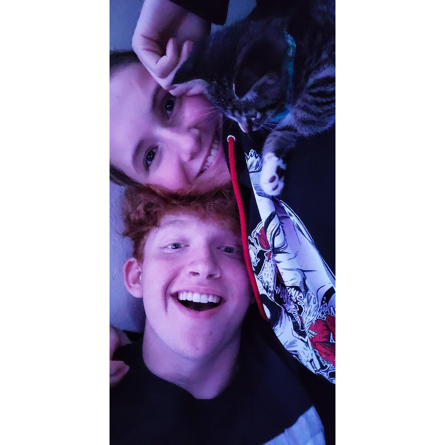 We got our first furry friend :D