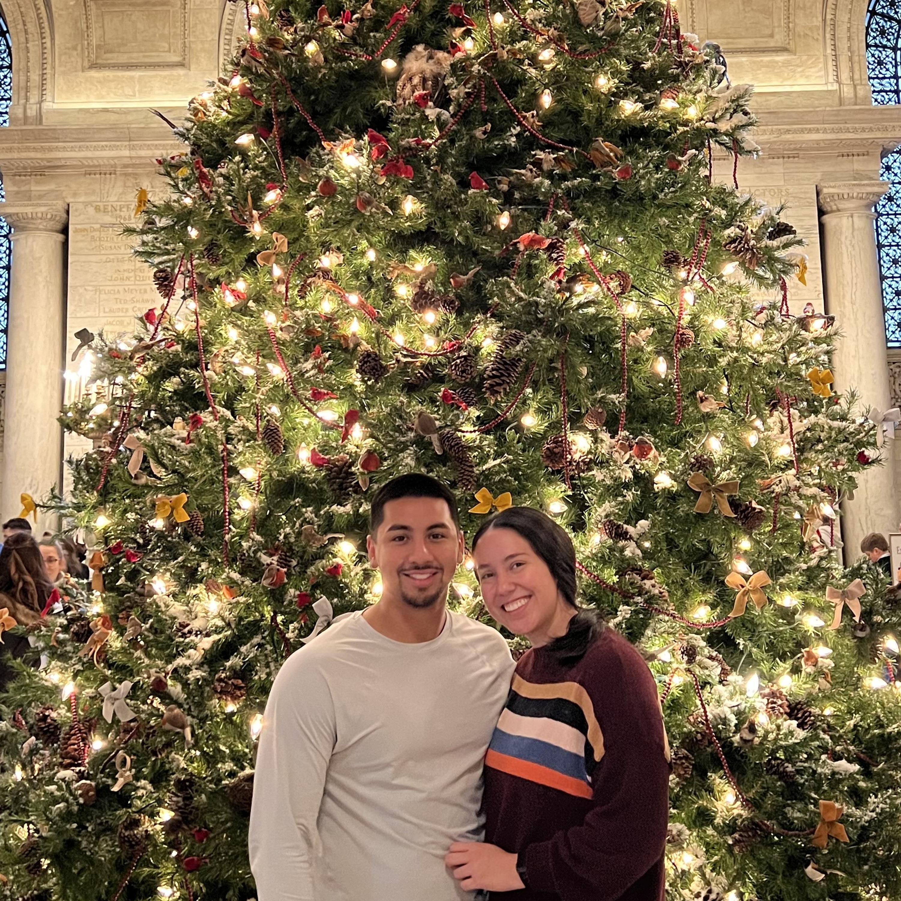 In the New York Public Library - December 2023