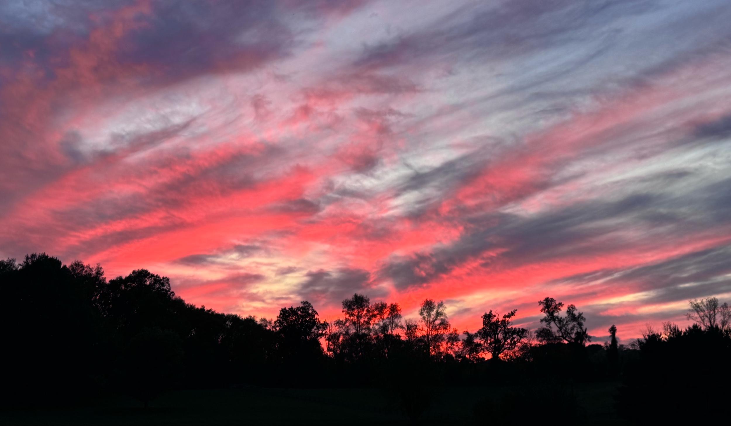 The Wedding Website of Lexy Hannon and David Harrison