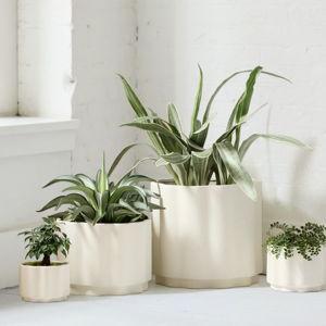 Wavy Ceramic Planters