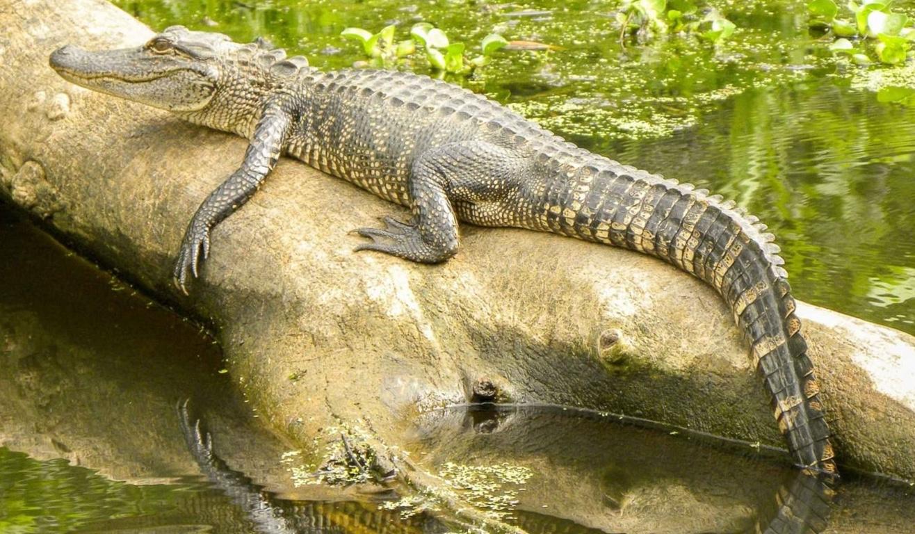 The Wedding Website of Kenya Floyd and Patrick Hammel