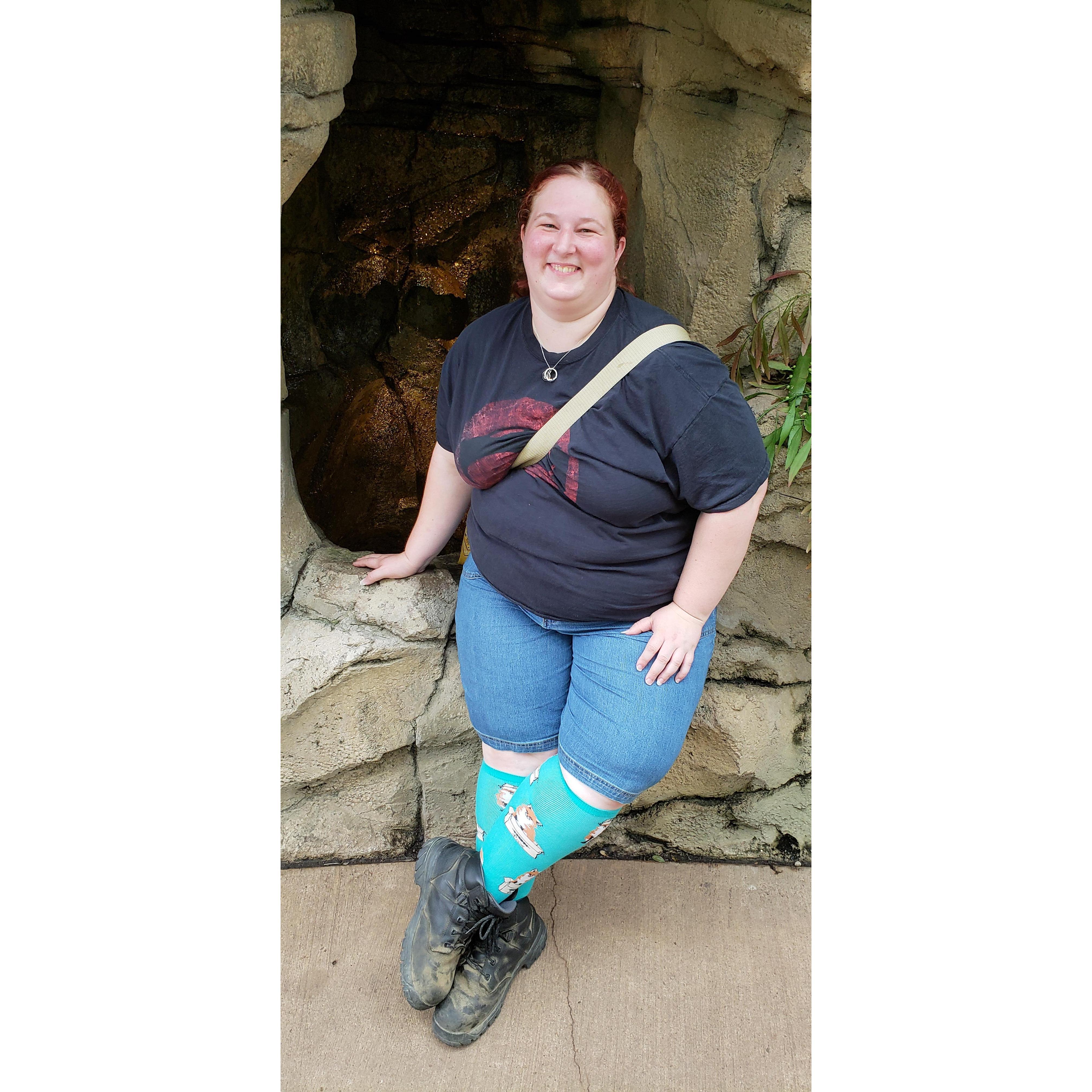 Visiting my Brother in his newly opened Restaurant, we visited the Phipps Conservatory and Botanical Gardens!