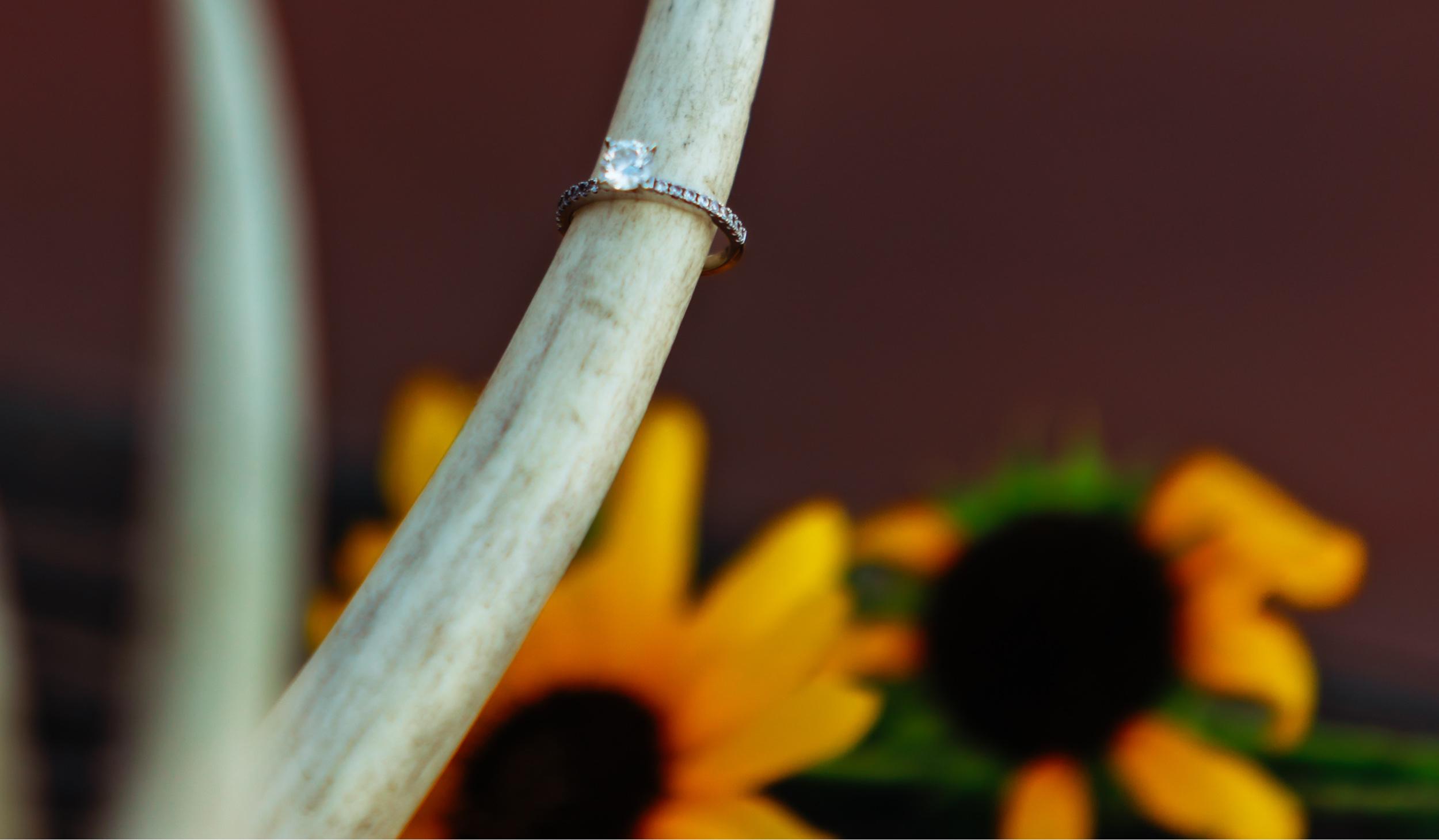 The Wedding Website of Alexandra Chavez and Vicente Pacheco