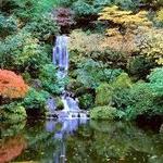 Portland Japanese Garden
