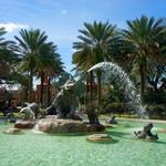 Audubon Zoo