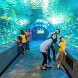 Newport aquarium