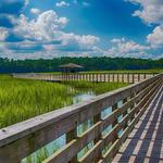 Huntington Beach State Park