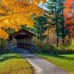 Allegany State Park