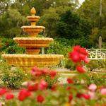 Harry P Leu Gardens