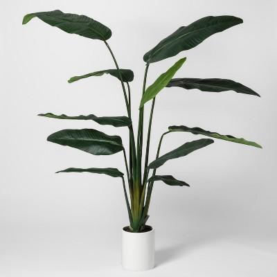 80" x 30" Artificial Banana Tree In Pot Green/White - Project 62™