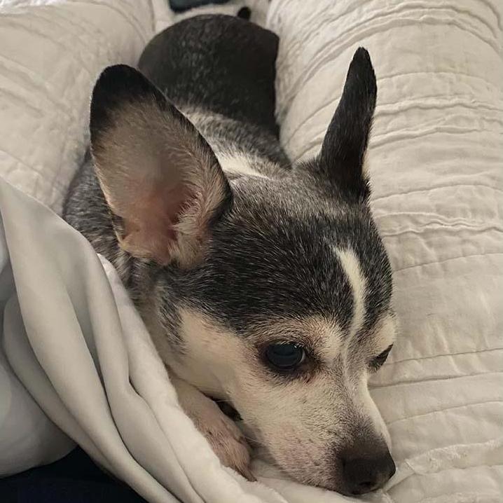 Snug nug = Sammy in the middle, 2021