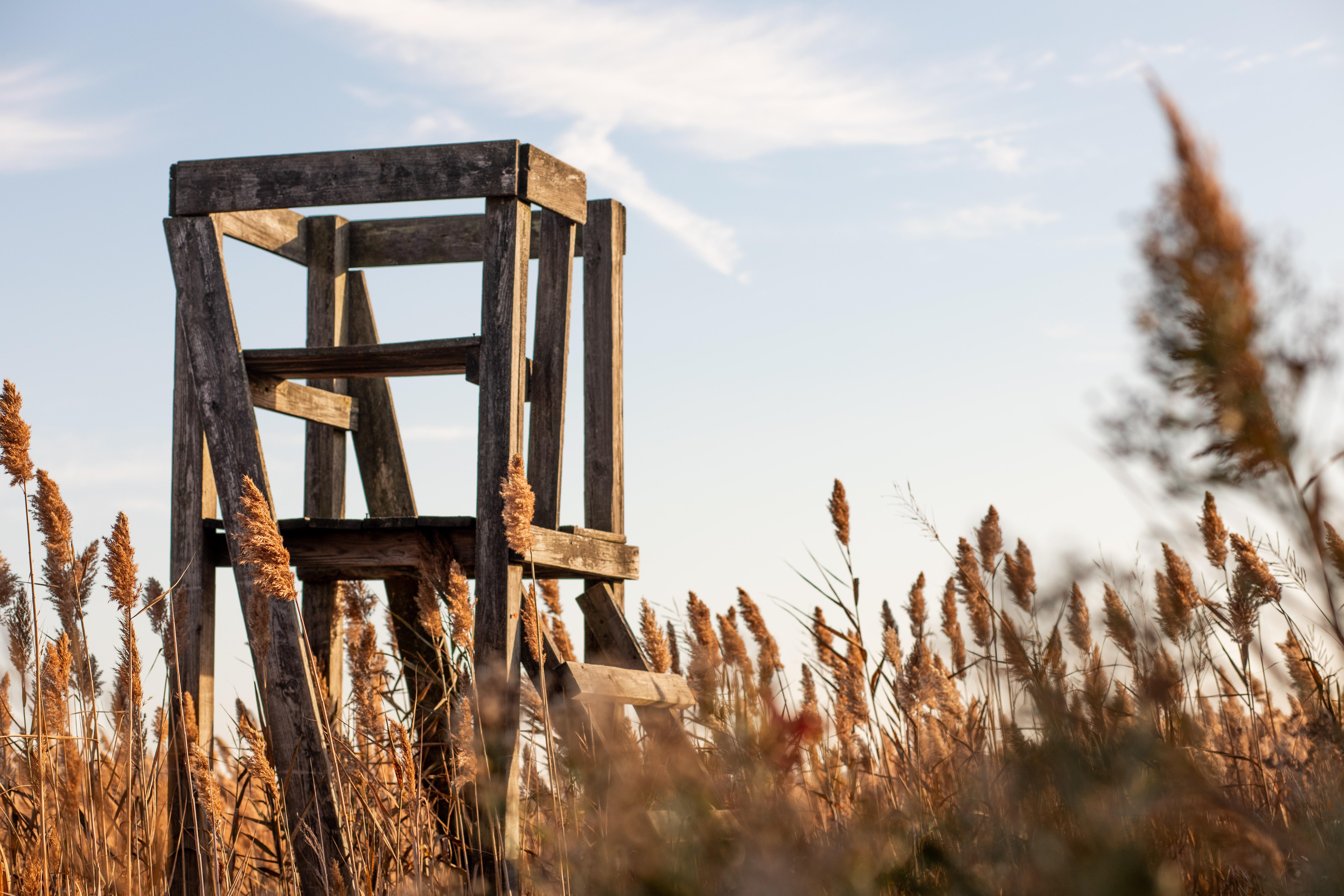 The Wedding Website of Taylor Ritter and Landon Burton
