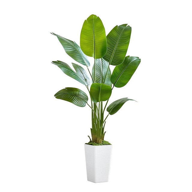 Lifelike Bird of Paradise Silk Artificial Plant Faux Banana Leaf Tree for Home Decor - Perfect Indoor Floor Plant with 9 Trunks (1, White Tall Planter, 5 FT)