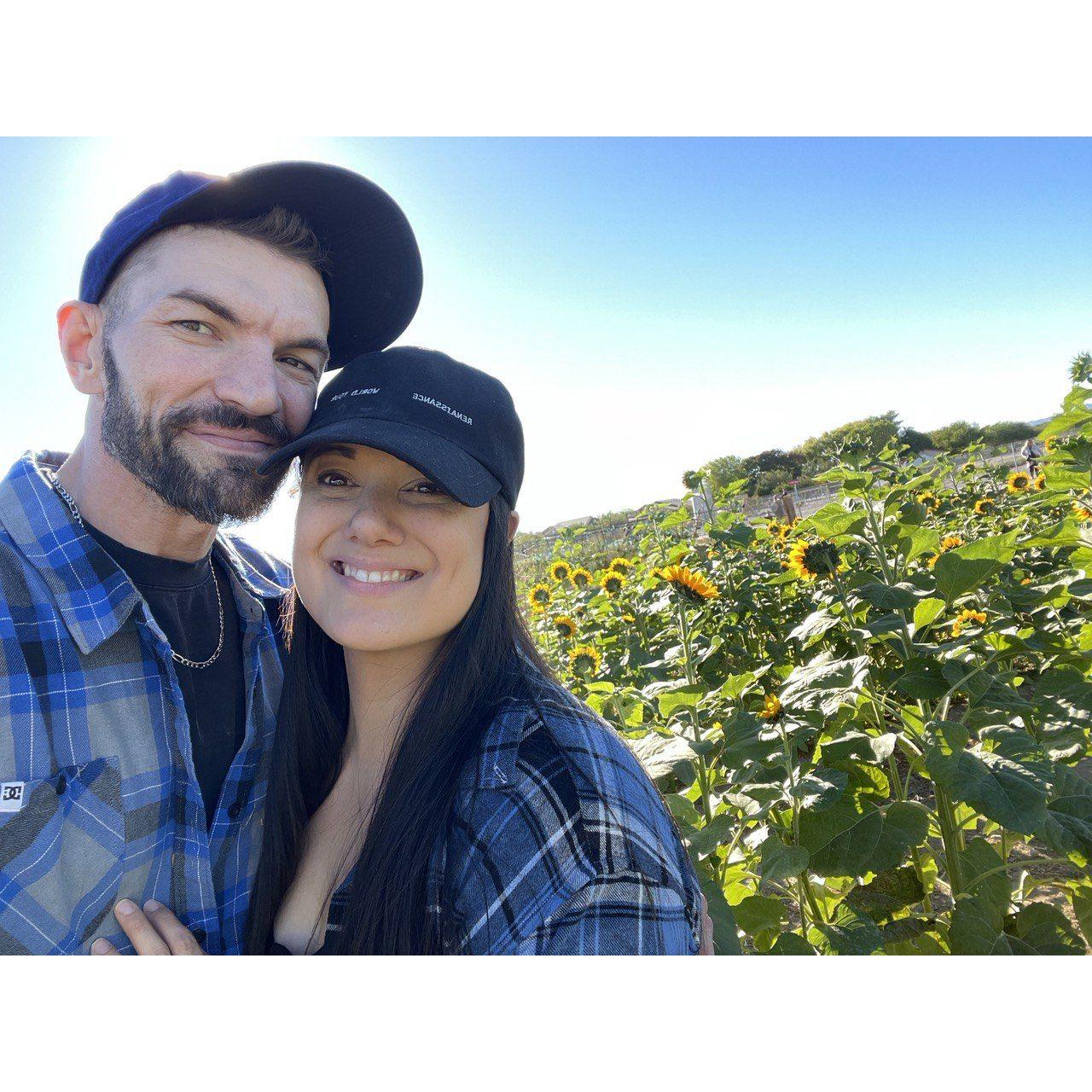 First time in a Sunflower field.