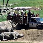San Diego Zoo Safari Park