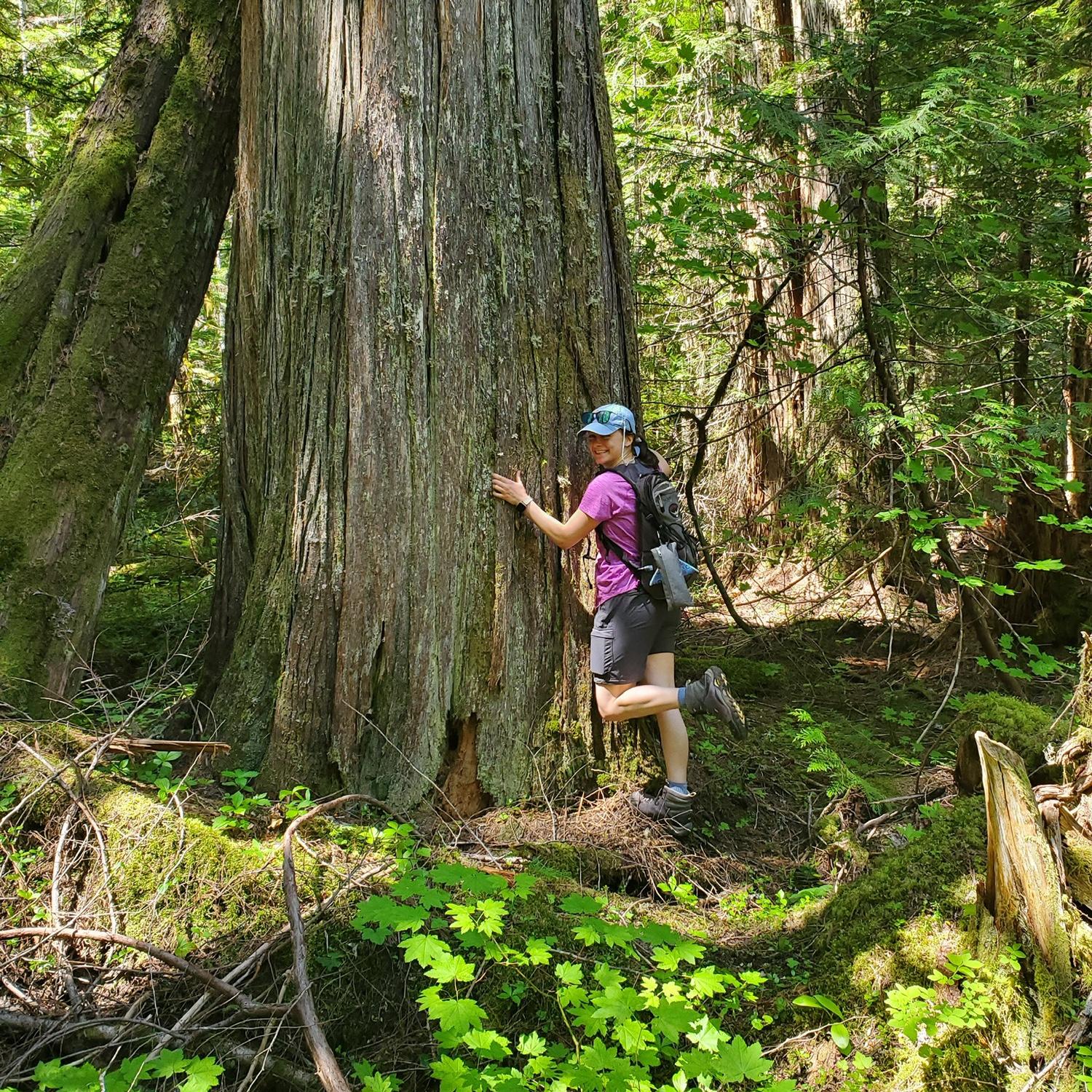 Big Tree, Little Lady