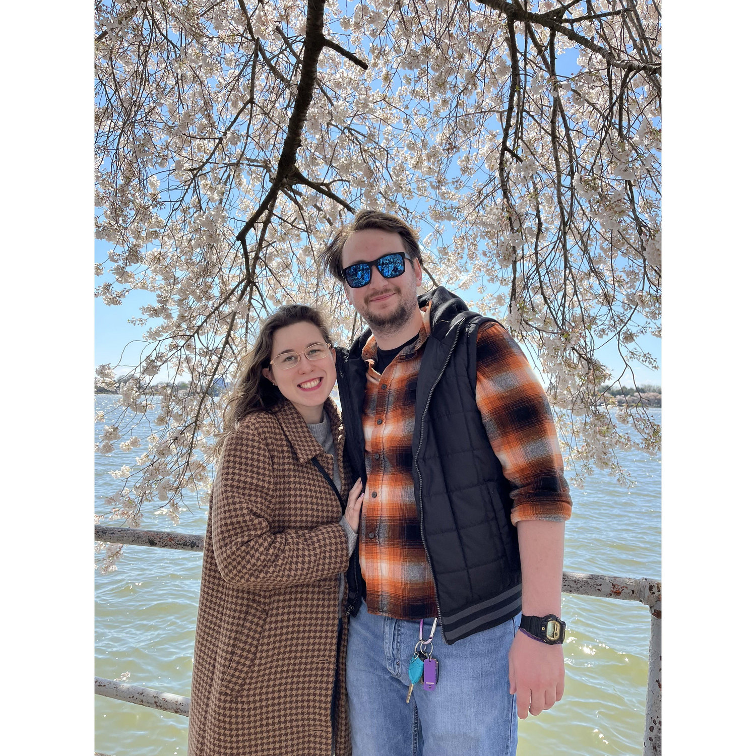 Cherry blossoms at the Tidal Basin