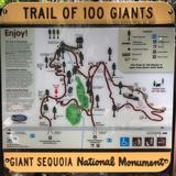 Trail of 100 Giants