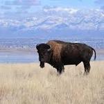 Antelope Island State Park