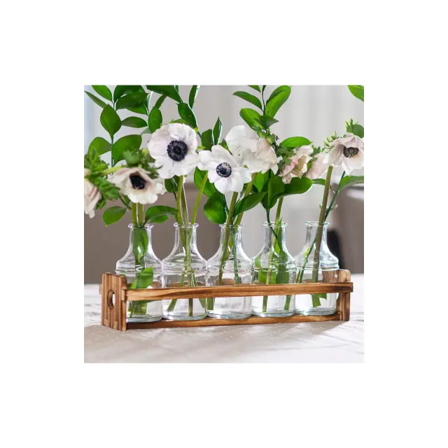 Le'raze Set of 5 Glass Flower Bud Vases with Wooden Holder