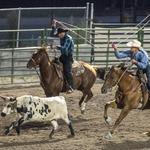 Jackson Hole Rodeo