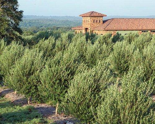 The Wedding Website of Morgan Dickson and Matthew Cooper