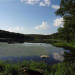 Wawayanda State Park