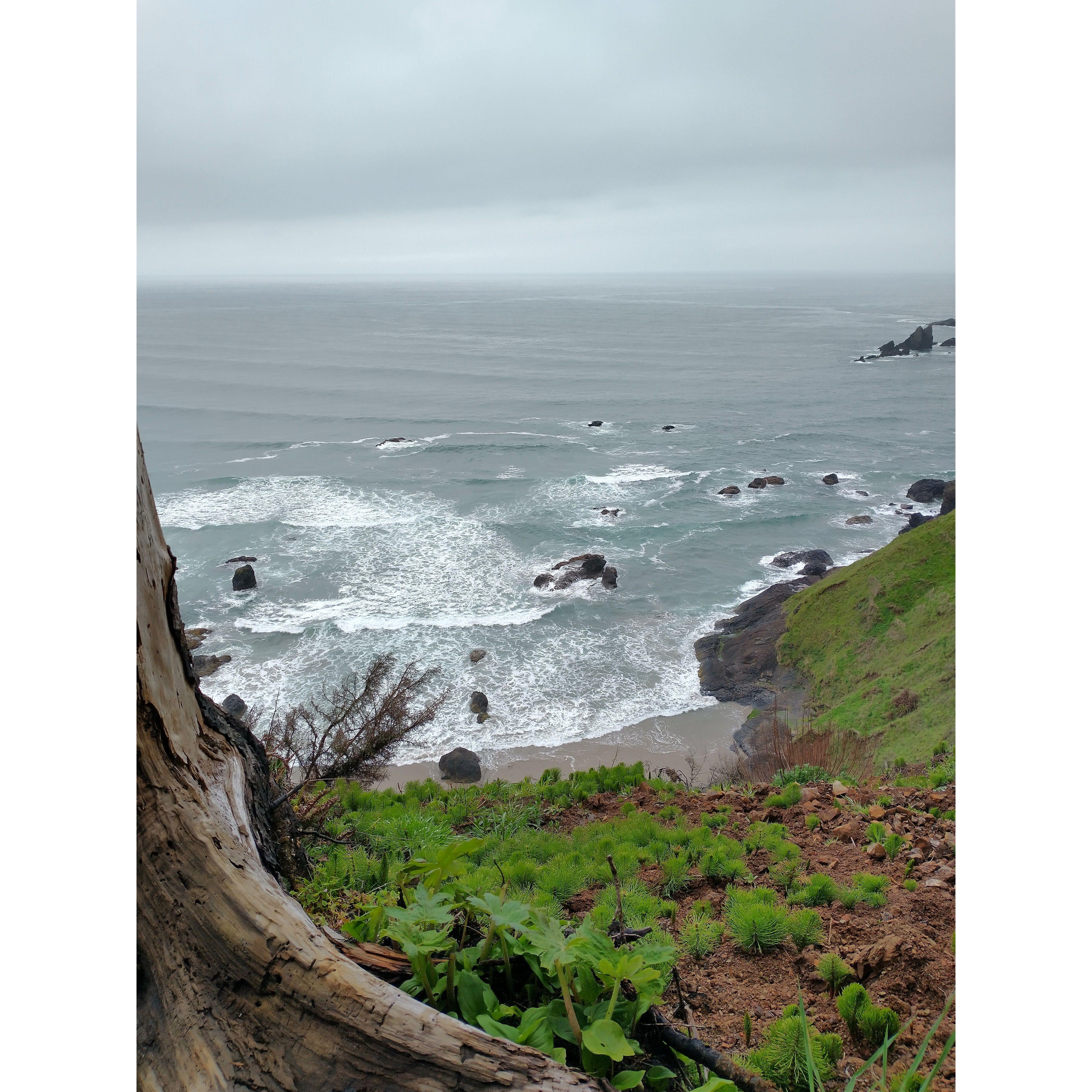 the cliffside where Brandon proposed.