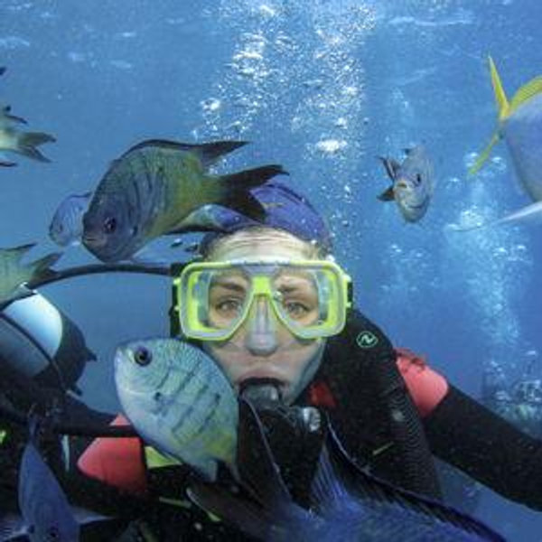 Honeymoon: Maldives Scuba Diving