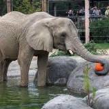 Cleveland Metroparks Zoo