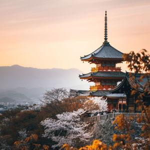 Our Japan Honeymoon Fund