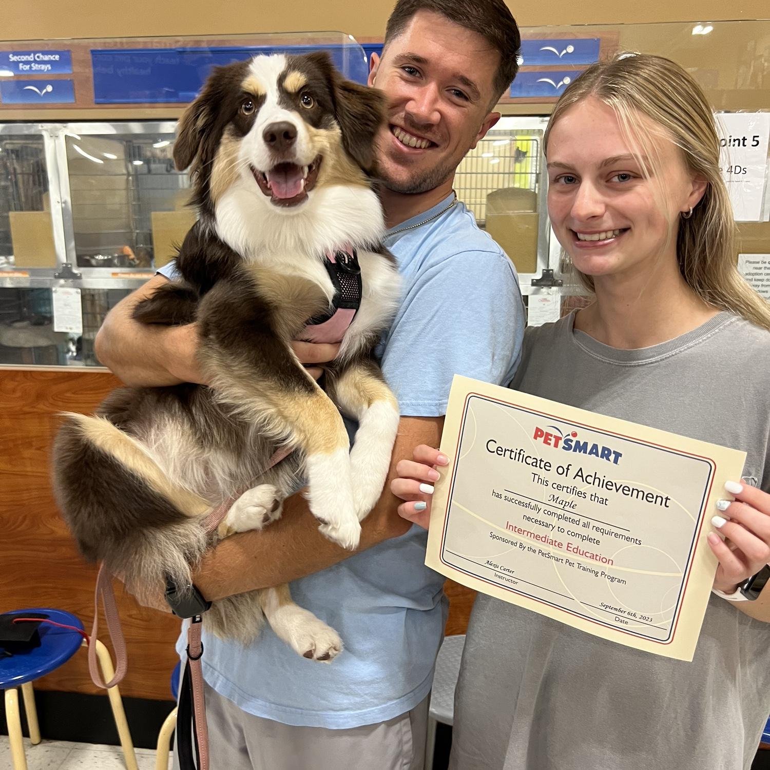 Proud dog parents for the second time - Maple completed Intermediate dog training (she has since forgot all of it)
September 6th, 2023