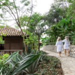 Book a Treatment at the Spa