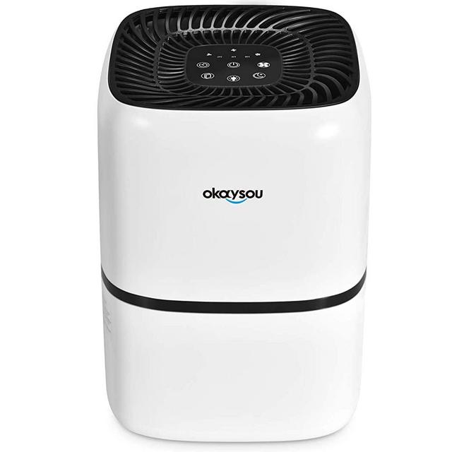 Okaysou AirMic4S Medical Grade Air Purifier for Home Allergies and Pets, Smokers, Odors, Dust, Pollen,VOCs, 4 Optional HEPA H13 Filters, Large Room Air Cleaner, 300 Sq. Ft. Perfect for Office, Bedroom