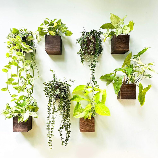 LaLaGreen Wood Planter Boxes for Plants (8 Pack, 4x4 Inch) Small Square Wall Mounted Planters for Indoor Plant, Herb Wooden Box Hanging Flower Pot Plant Holder Outdoor Fence Vertical Garden Home Decor